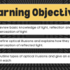 Optical Illusions - Image 2
